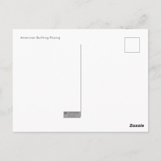 Amerikaans Bullfrog Posing Briefkaart (Achterkant)