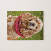 Amerikaans Cocker Spaniel in de buitenlucht op jaa Legpuzzel (Horizontaal)