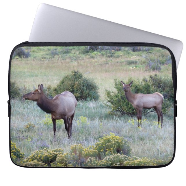 Amerikaans eland | Colorado Laptop Sleeve (Voorkant)