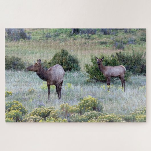 Amerikaans eland | Colorado Legpuzzel (Horizontaal)