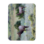 Amerikaans eland | Colorado Magneet (Verticaal)