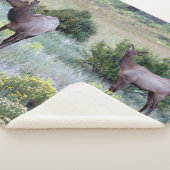 Amerikaans eland | Colorado Sherpa Deken (3/4)