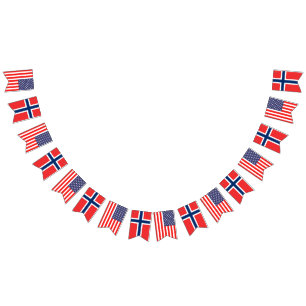 Amerikaans en Noors internationaal huwelijksfeest Vlaggetjes