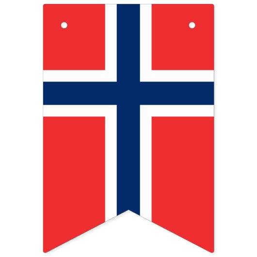 Amerikaans en Noors internationaal huwelijksfeest Vlaggetjes (Tweede vlag)