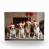 Amerikaans Engels Foxhound open haard Kerstmis Fotoblokken (Voorkant)