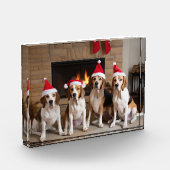 Amerikaans Engels Foxhound open haard Kerstmis Fotoblokken (Links)
