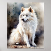 Amerikaans Eskimo Dog Art Print Poster (Voorkant)