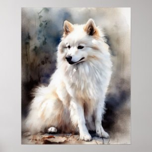 Amerikaans Eskimo Dog Art Print Poster