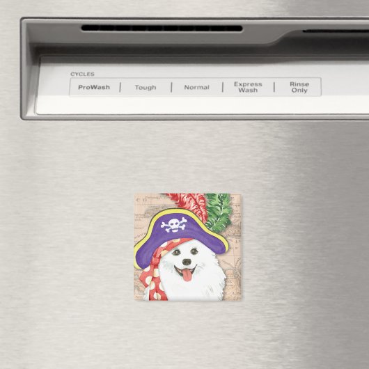Amerikaans Eskimo Dog Pirate Magnet (Insitu (Vaatwasser))