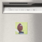 Amerikaans Football 6 Magneet (Insitu (Vaatwasser))