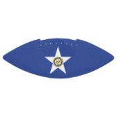 Amerikaans football met vlag van Houston (Paneel)