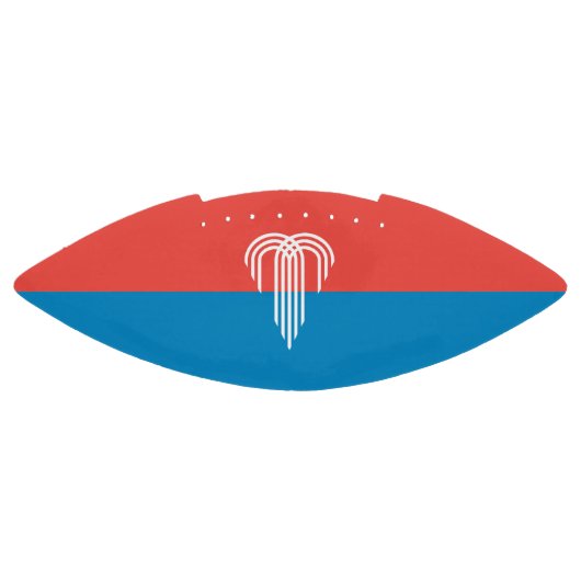 Amerikaans football met vlag van Kansas City (Paneel)