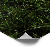 Amerikaans football op gras, uitzicht van bovenaf poster (Hoek)