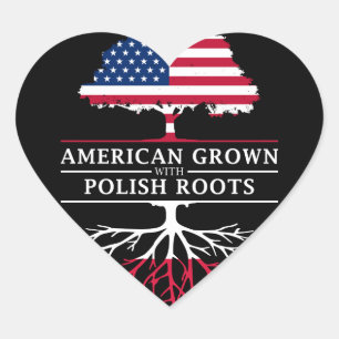 Amerikaans Gegroeid met Poolse Roots Polen Design Hart Sticker
