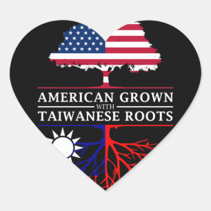 Amerikaans Gegroeid met Taiwanese Roots Taiwan Hart Sticker