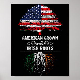 Amerikaans gekweekt met Ierse wortels 4 juli VS Vl Poster