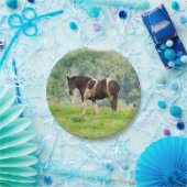 Amerikaans geschilderd paard in een veld papieren bordje (Feest)