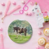 Amerikaans geschilderd paard in een veld papieren bordje (Feest)