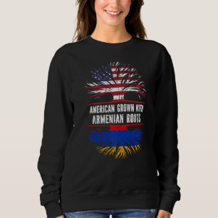 Amerikaans geteeld met Armeense wortels VS vlag Ar Trui