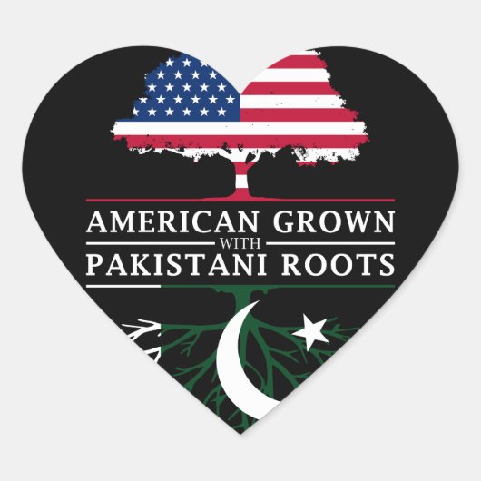 Amerikaans geteeld met Pakistaanse roots Pakistan Hart Sticker (Voorkant)