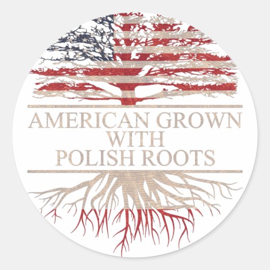 Amerikaans geteeld met Poolse wortels Ronde Sticker (Voorkant)