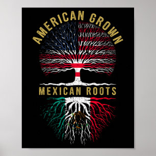 Amerikaans geteelde Mexicaanse wortels Mexico Land Poster
