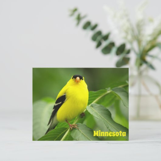 Amerikaans Goldfinch Briefkaart (Staand voorkant)