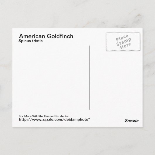 Amerikaans Goldfinch Briefkaart (Achterkant)
