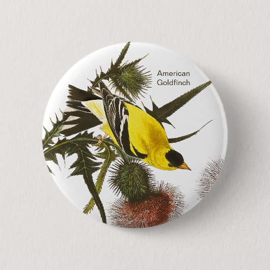 Amerikaans Goldfinch door John James Audubon, Voge Ronde Button 5,7 Cm (Voorkant)