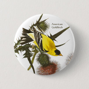 Amerikaans Goldfinch door John James Audubon, Voge Ronde Button 5,7 Cm