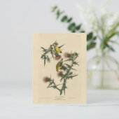 Amerikaans Goldfinch uit Audubon's Birds of Americ Briefkaart (Staand voorkant)