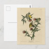 Amerikaans Goldfinch uit Audubon's Birds of Americ Briefkaart (Voorkant / Achterkant)