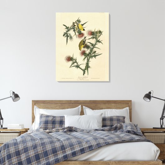 Amerikaans Goldfinch uit Audubon's Birds of Americ Canvas Afdruk (Insitu (Slaapkamer))