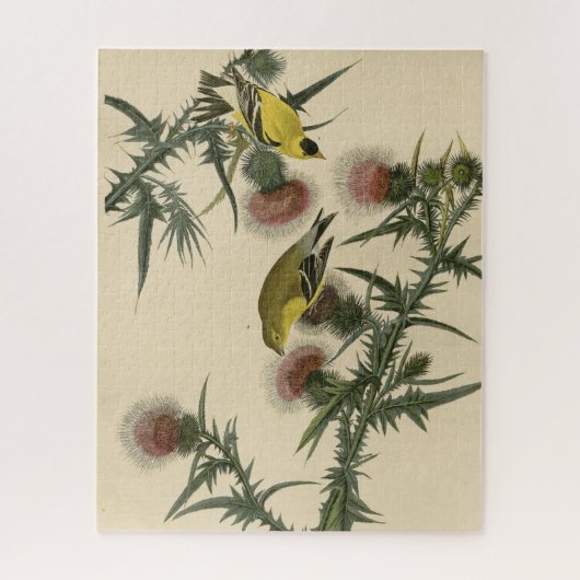 Amerikaans Goldfinch uit Audubon's Birds of Americ Legpuzzel (Verticaal)