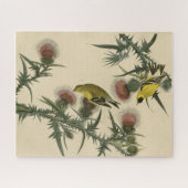 Amerikaans Goldfinch uit Audubon's Birds of Americ Legpuzzel (Horizontaal)