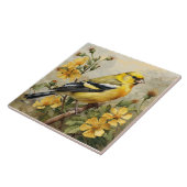 Amerikaans goudvinkportret, geel en zwart tegeltje (Zijkant)