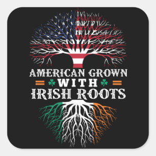 AMERIKAANS groeide met IRISH Roots! Vierkante Sticker