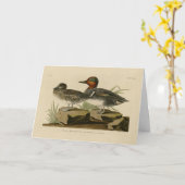 Amerikaans groen Blauwgroen van Audubon's vogel Kaart (Gele Bloem)