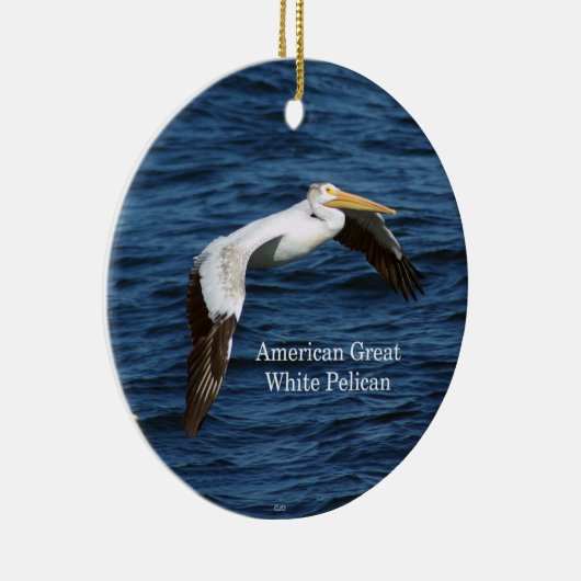 Amerikaans groots ornament van de Pelican (Rechts)