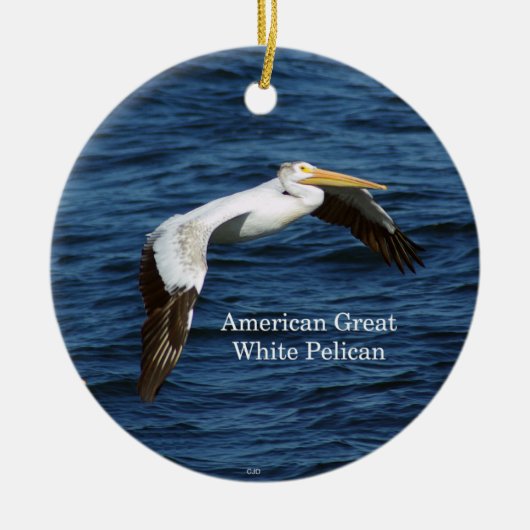 Amerikaans groots ornament van de Pelican (Voorkant)