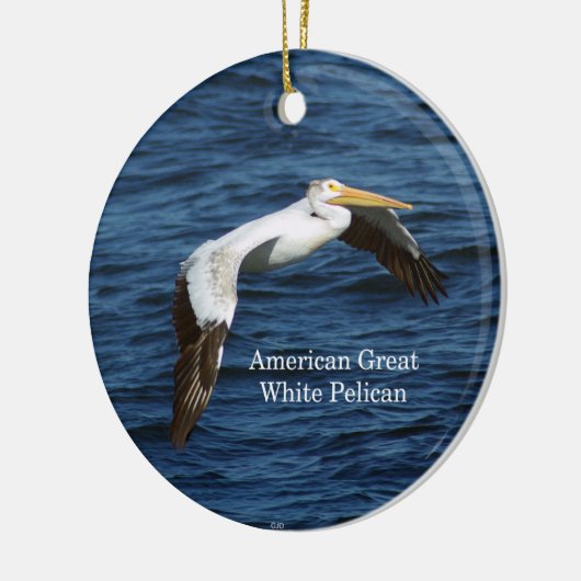 Amerikaans groots ornament van de Pelican (Links)