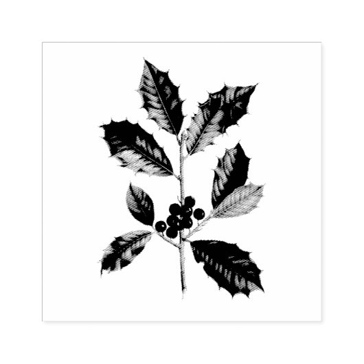  "AMERIKAANS HOLLY" WOOD ART STAMP RUBBERSTEMPEL (Afrduk)