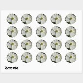 Amerikaans hondenhout (Cornus florida) Ronde Sticker (Vel)