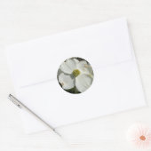Amerikaans hondenhout (Cornus florida) Ronde Sticker (Envelop)