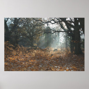 Amerikaans hout poster