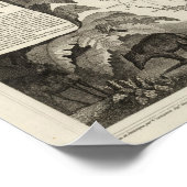 Amerikaans imperium poster (Hoek)