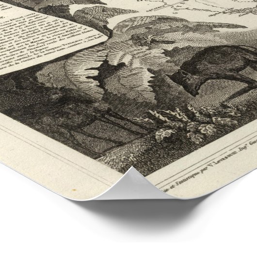 Amerikaans imperium poster (Hoek)