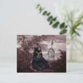 Amerikaans Indiaans zwart beer Briefkaart (Staand voorkant)