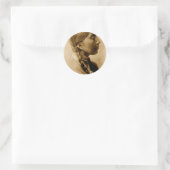 Amerikaans Indiaas Collectie Ronde Sticker (Tas)
