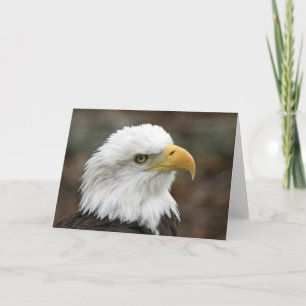 Amerikaans Kaal Eagle 2 Wenskaart Kaart